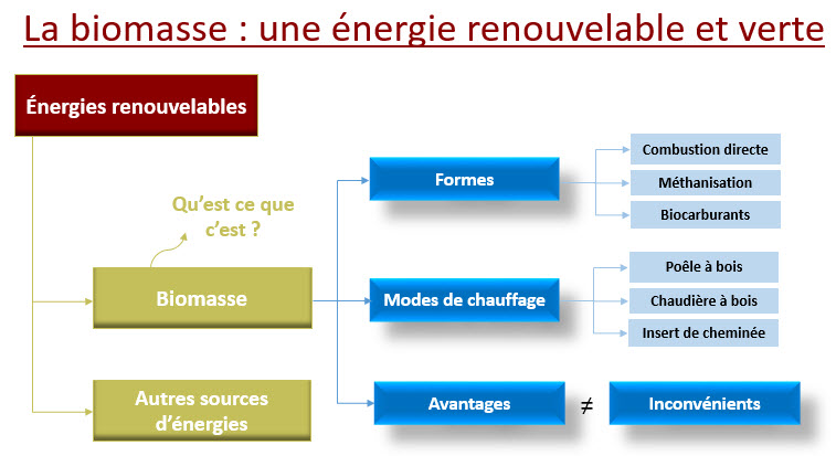 Biomasse