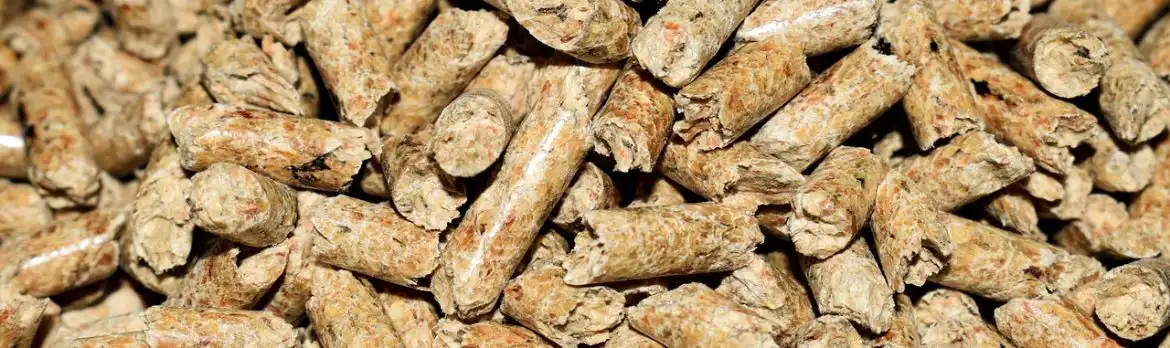 Biomasse